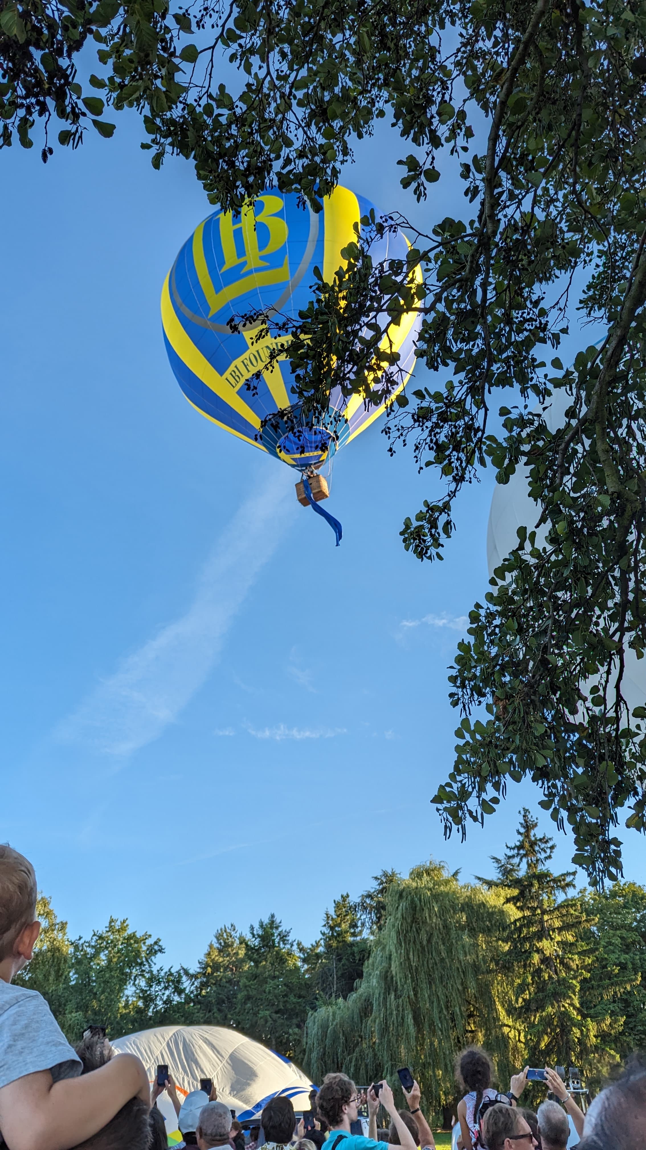 Hot Air Balloon