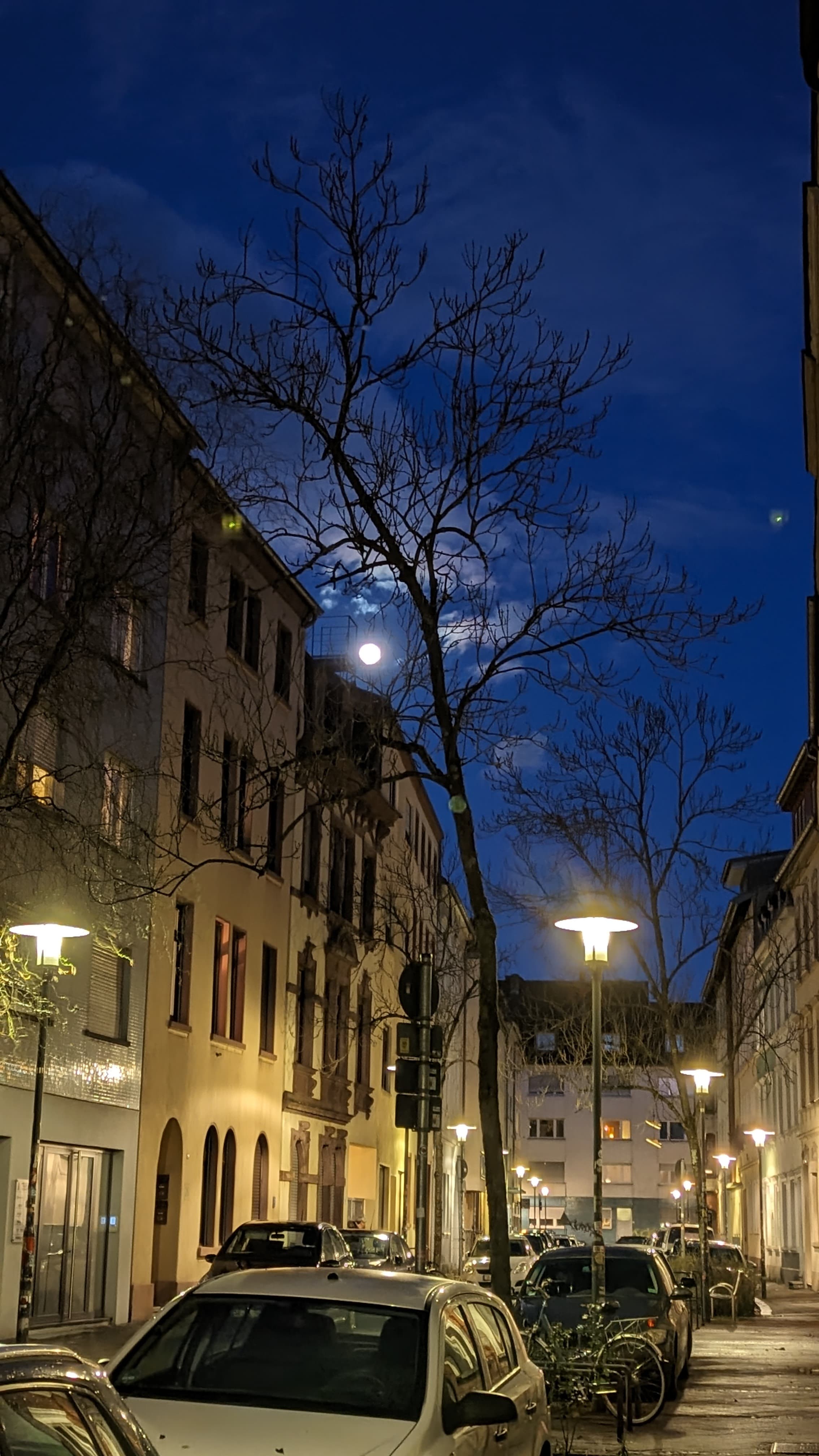 Moonlit Street