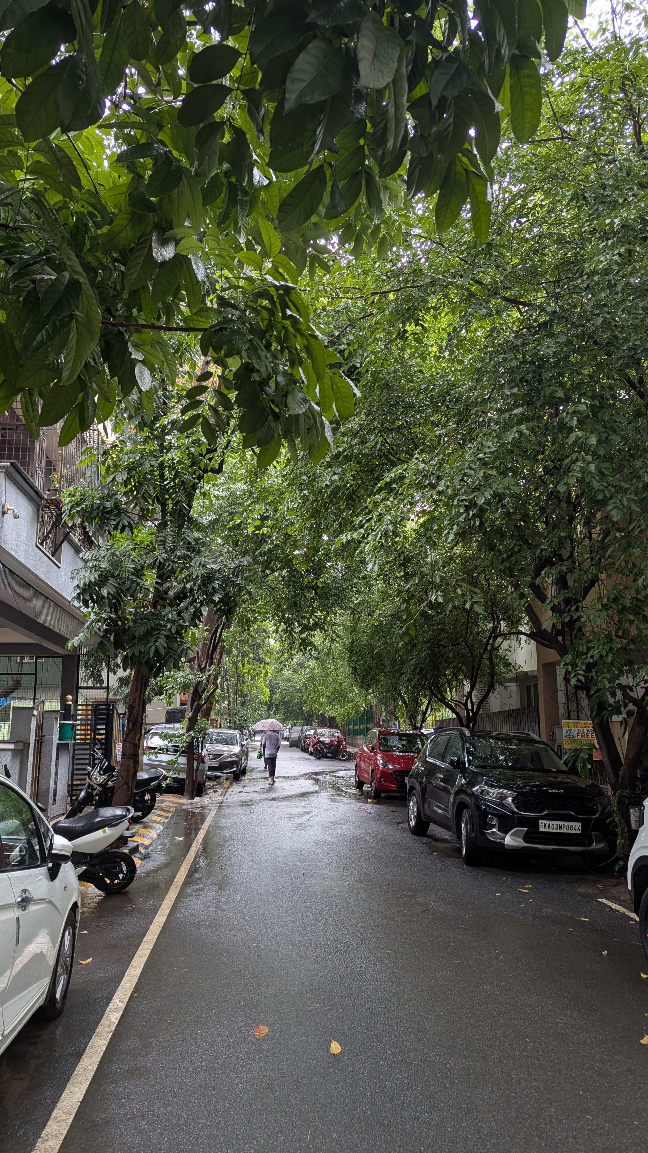 Rainy Day