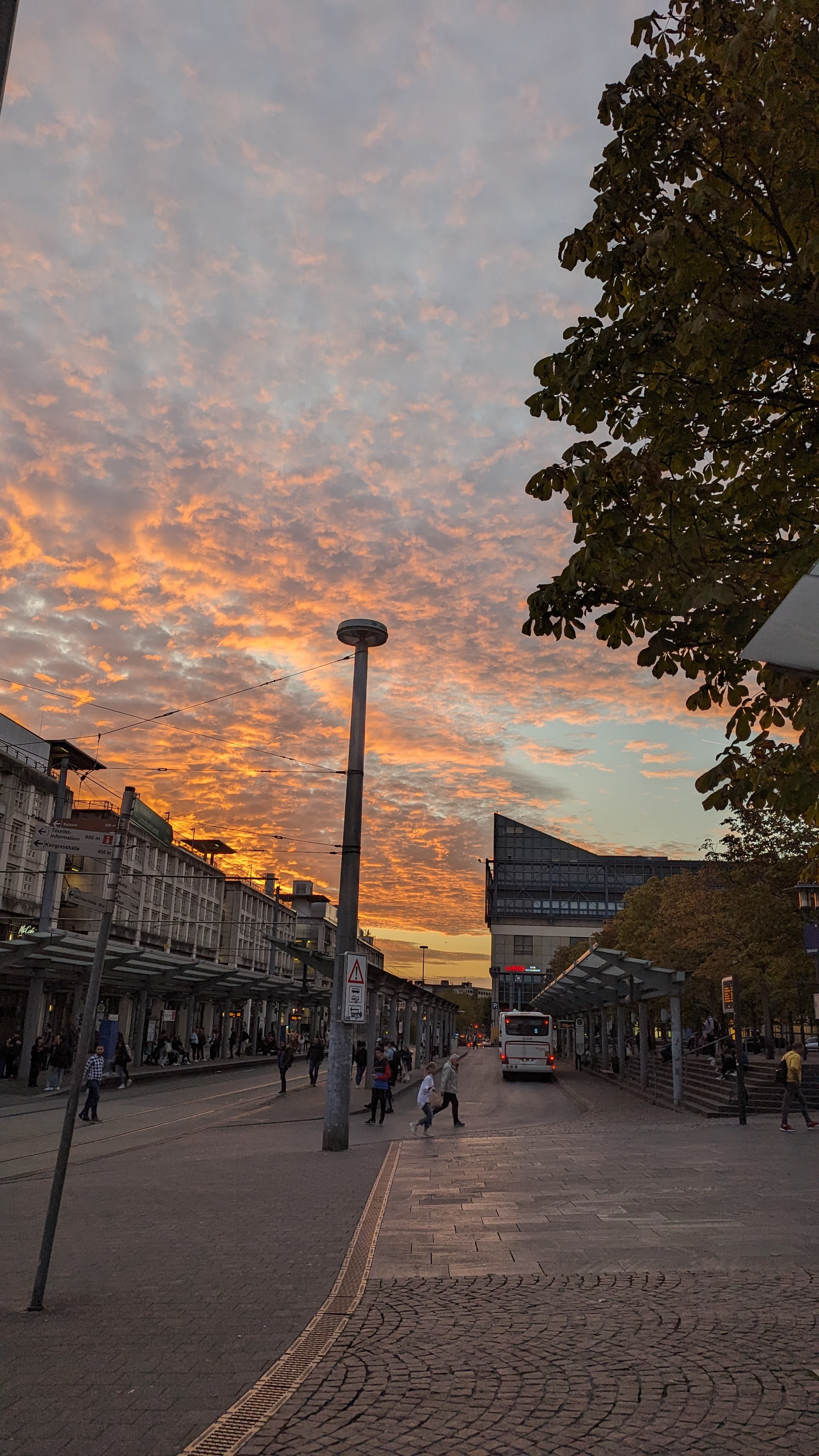 City Sunset